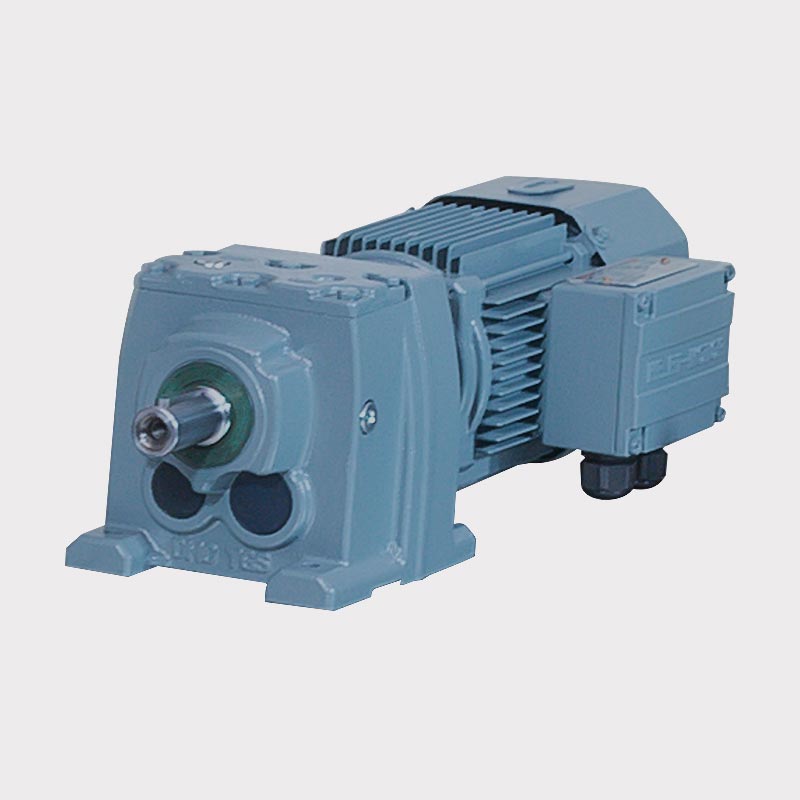 D Series Solid Shaft Helical Variable Speed ​​Gear Motor med broms