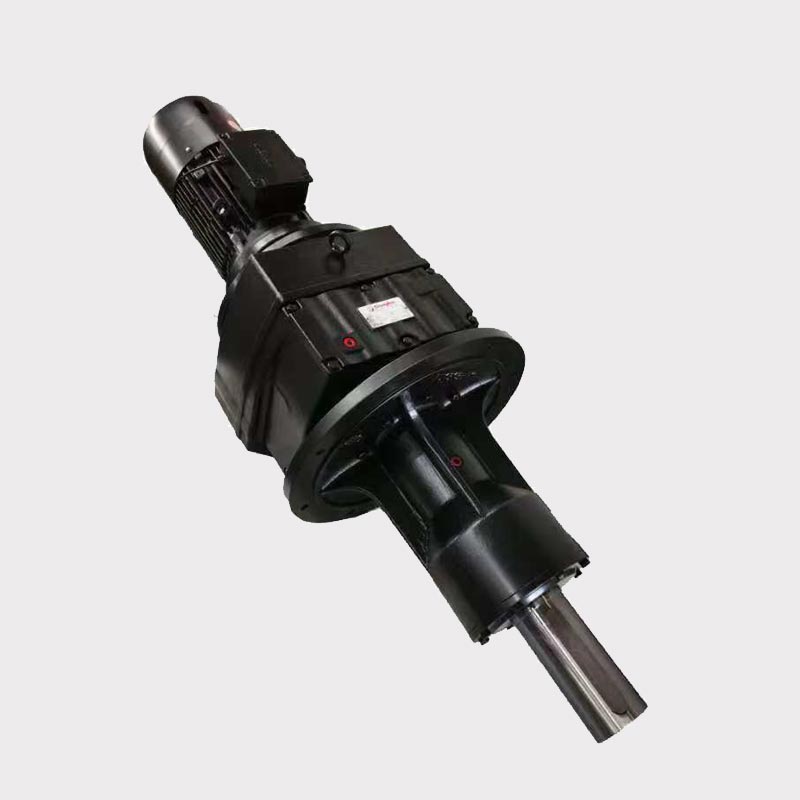 DM -serie Tung belastning Solid axel Helisk standard AC -växelmotor med broms